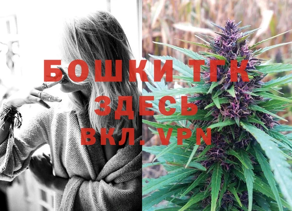 гидра Баксан