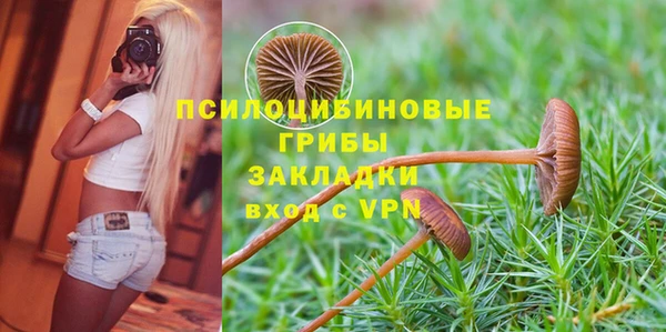 гидра Баксан